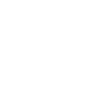 LogoDISOENERGYblanco